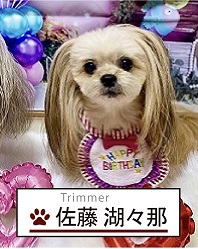 �X�^�b�t�ʐ^